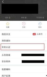 个人没单位怎么头条认证,个人无单位如何轻松完成头条认证攻略