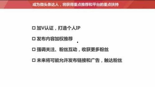 头条粉丝都有哪些特点呢,揭秘热门话题背后的忠实追随者