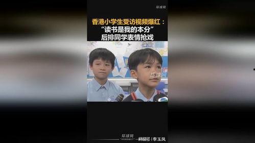 香港小学爆料视频,教育问题引关注