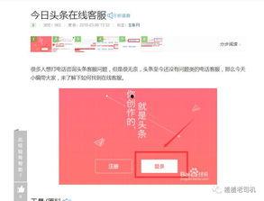 今日头条在线客服,高效便捷，解答您的疑问与需求