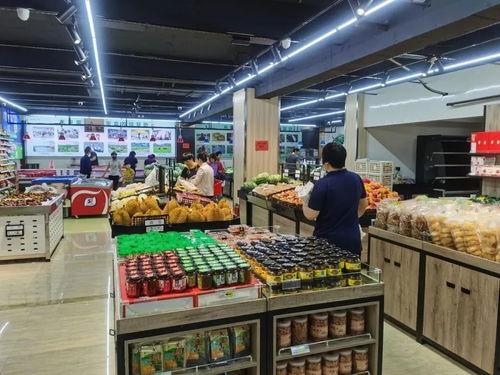 浙江诸暨网红家电维修,匠心守护，家电无忧