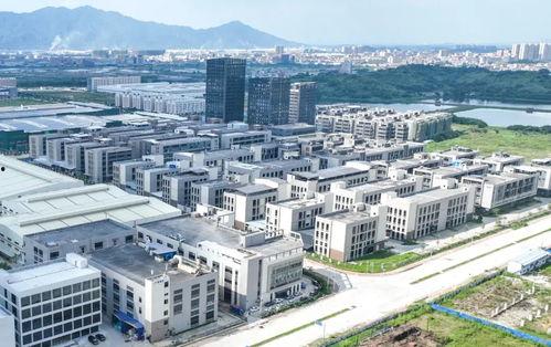 肇庆市高要新区新闻头条,聚焦发展新篇章，共绘区域繁荣蓝图