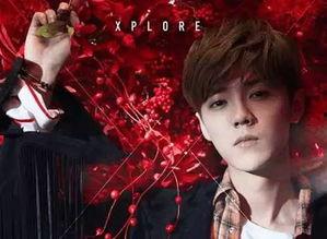 明星QZK名字,星光璀璨的娱乐圈新星