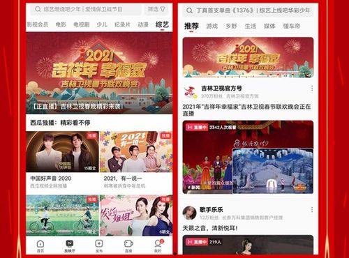 如何入住今日头条西瓜,一站式操作指南