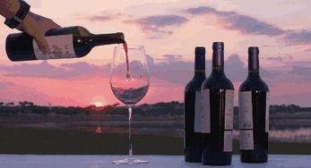 红酒网红地,品味与美景的完美邂逅