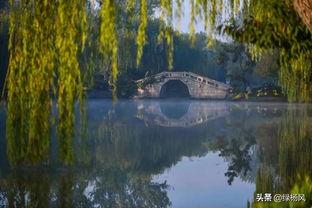 云龙湖网红打卡地点日记,日记里的风景与故事