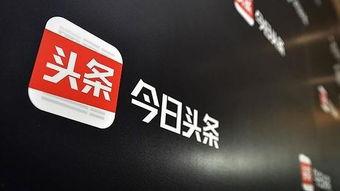 今日头条岳家湾新闻,聚焦岳家湾社区发展新动态