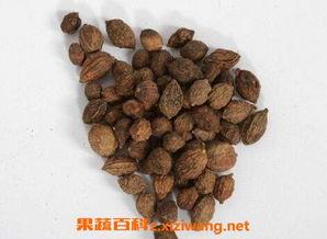 安中医网红药,揭秘古老秘方在现代的焕新之旅