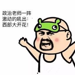 四毛老师去偷瓜