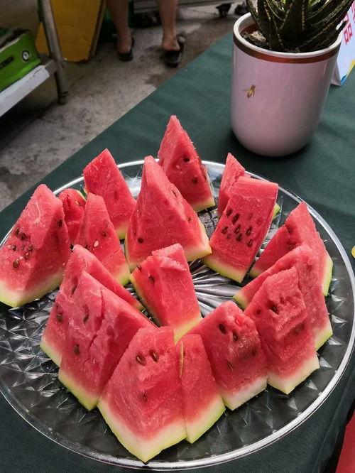 宁夏迈阿密吃瓜事件视频,一场网络热传的误会与反思