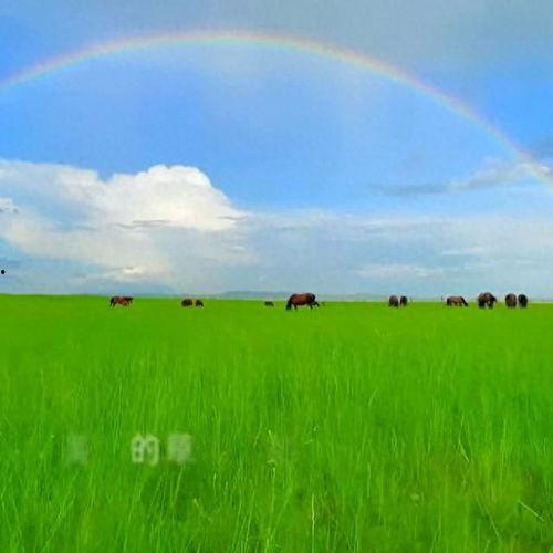 今日头条美丽的草原,探寻今日头条上的美丽画卷
