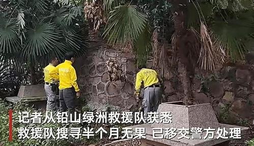武夷山街头爆料案件最新,警方全力侦破中
