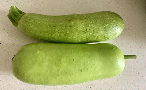 立秋吃瓜素材图片