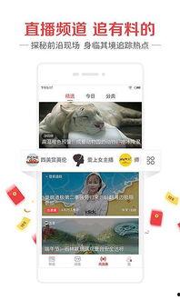 新闻头条小视频,小视频揭示重大事件，精彩瞬间不容错过