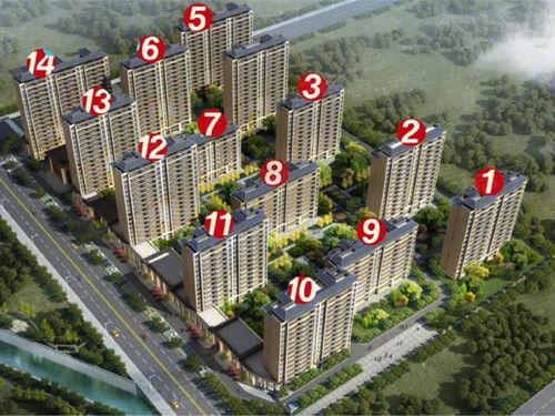 今日头条竹苑视频,揭秘今日热点背后的故事